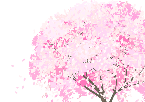 桜