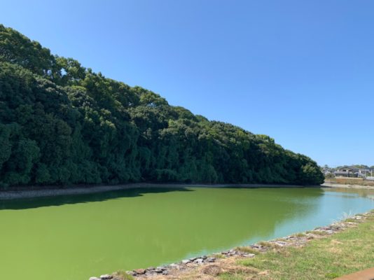 line 3132028613815055